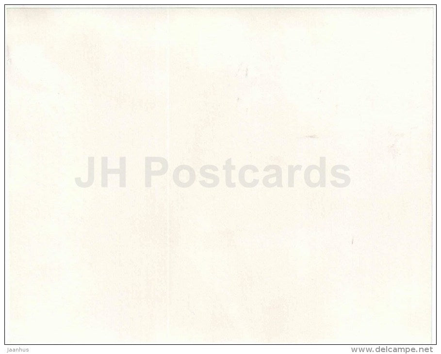 shore of the island of Baklaniy (Cormorants) - lake Baikal - large format - old photo cards - Russia USSR - unused - JH Postcards