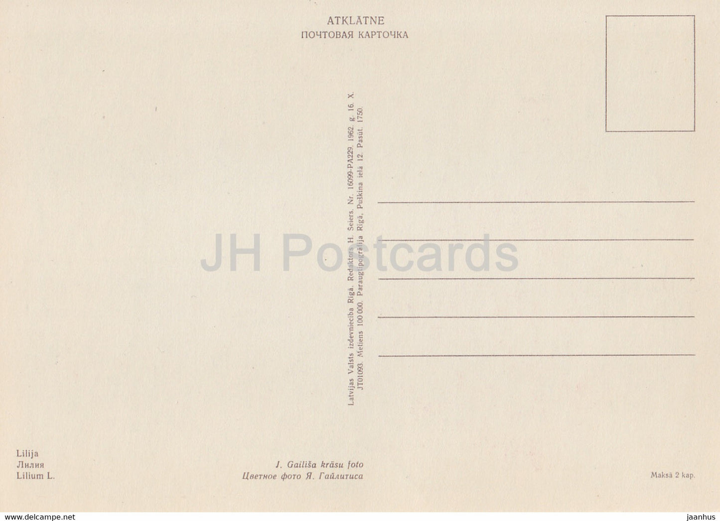 Rote Lilie - Blumen - Pflanzen - 1962 - Lettland UdSSR - unbenutzt