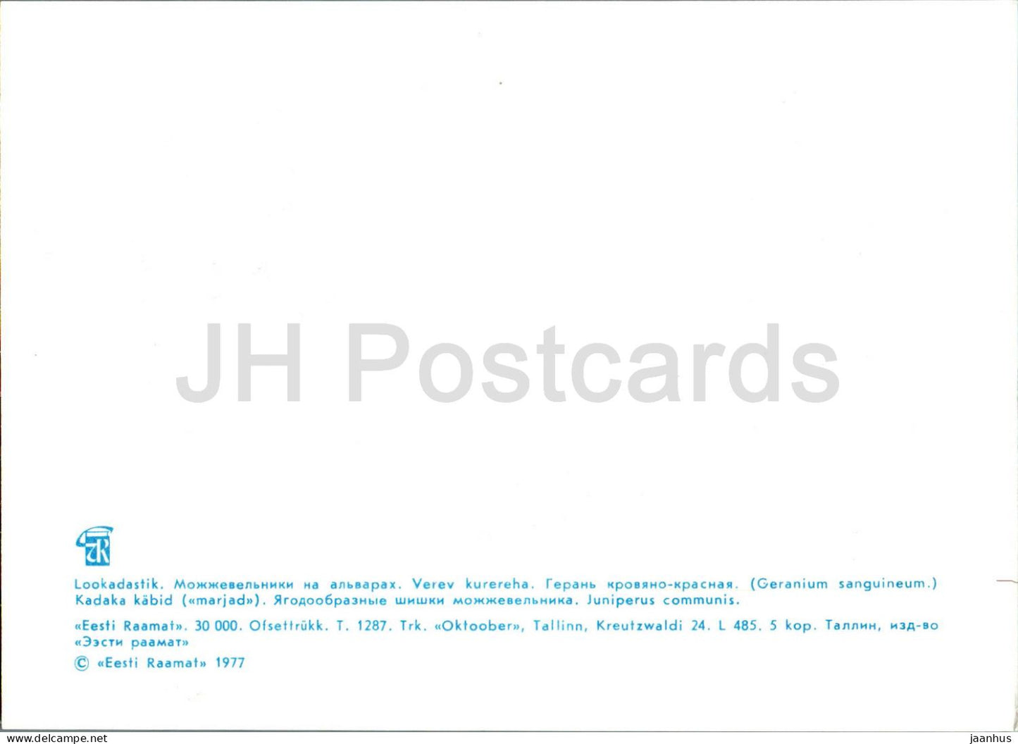 Géranium sanglant - Geranium sanguineum - Genévrier commun - Juniperus communis - plantes - 1977 - Estonie URSS - inutilisé