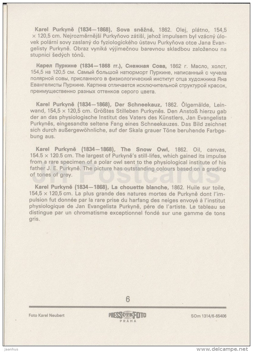 painting by Karel Purkyne - The Snow Owl , 1862 - hunting rifle - Czech art - large format card - Czech - unused - JH Postcards