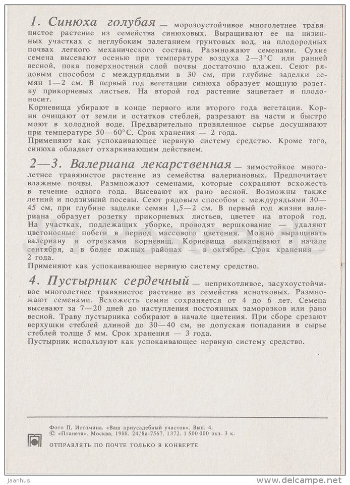 Jacob's Ladder - Valerian - Common motherwort - Medicinal Plants - Herbs - 1988 - Russia USSR - unused - JH Postcards