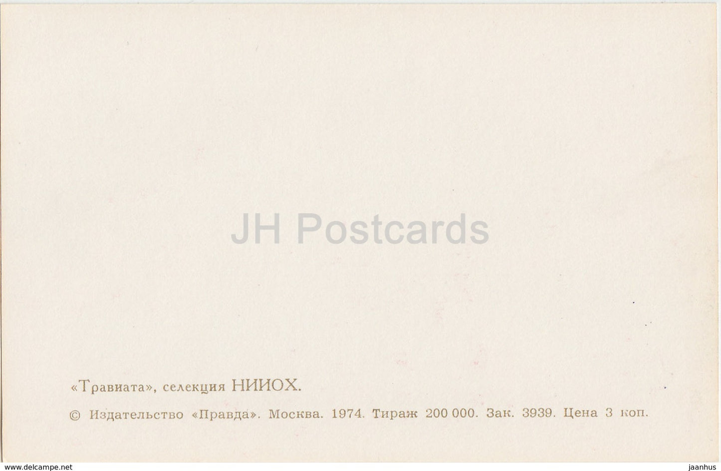 Traviata - Gladiolus - Flowers - 1974 - Russia USSR - unused - JH Postcards