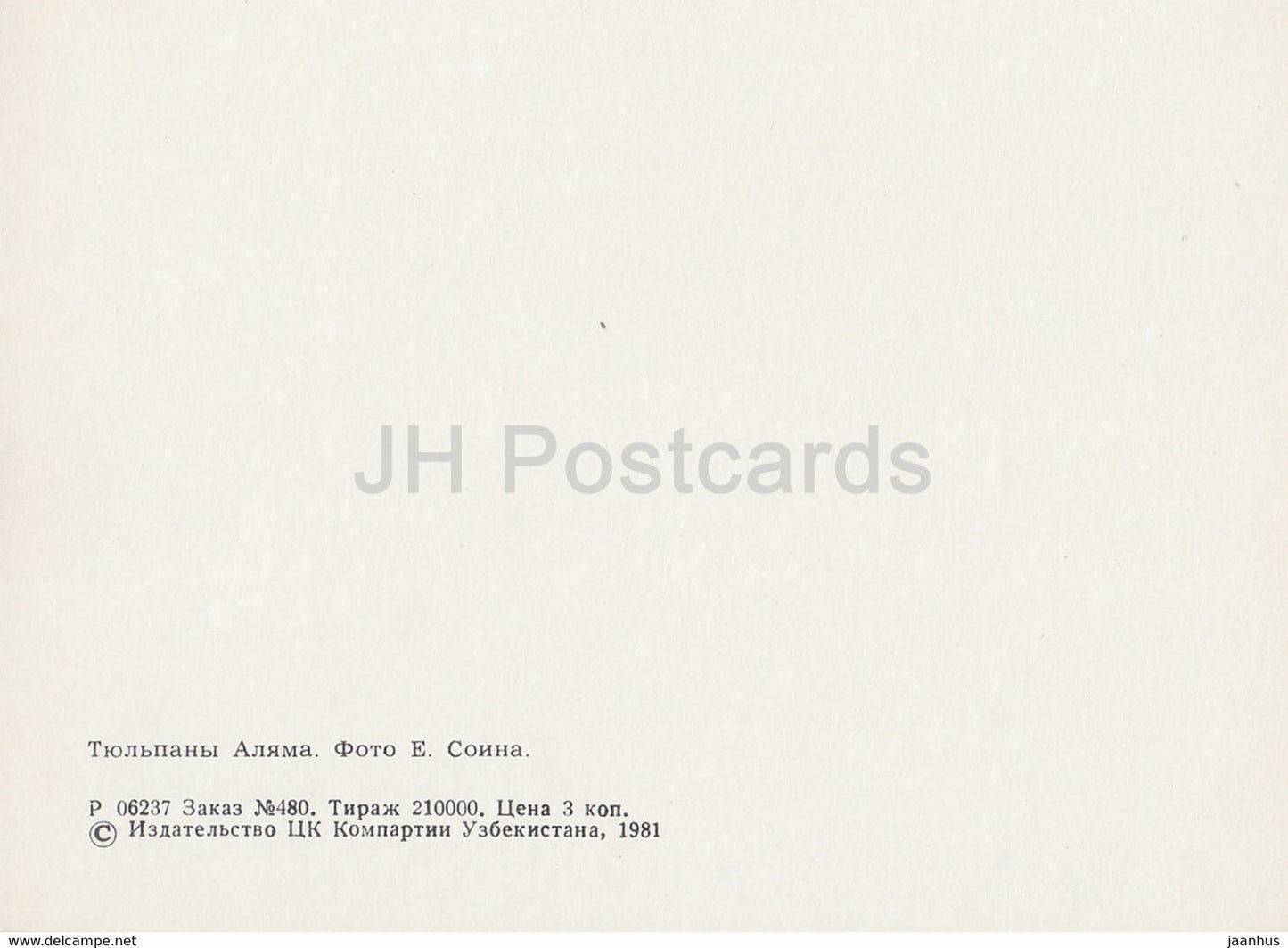 Alam Tulips - fleurs - Nature Trails - 1981 - Ouzbékistan URSS - inutilisé