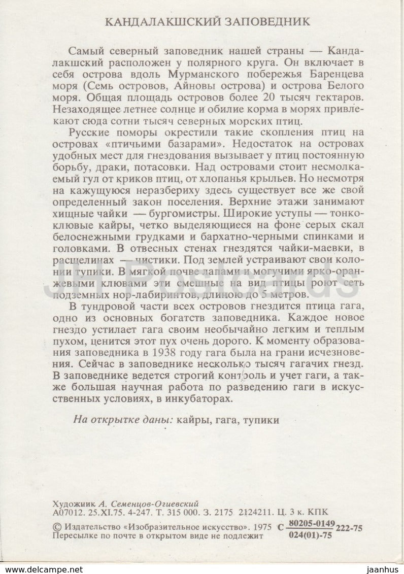 Guillemot - Eiderente - Papageitaucher - Vögel - Naturschutzgebiet Kandalaksha - 1975 - Russland UdSSR - unbenutzt