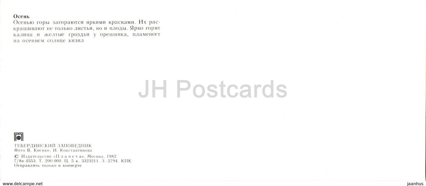 Réserve naturelle de Teberda - Automne - baies - noisettes - framboises - sorbier - 1982 - Russie URSS - inutilisé