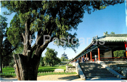 Beijing - Temple of Heaven - China - used - JH Postcards