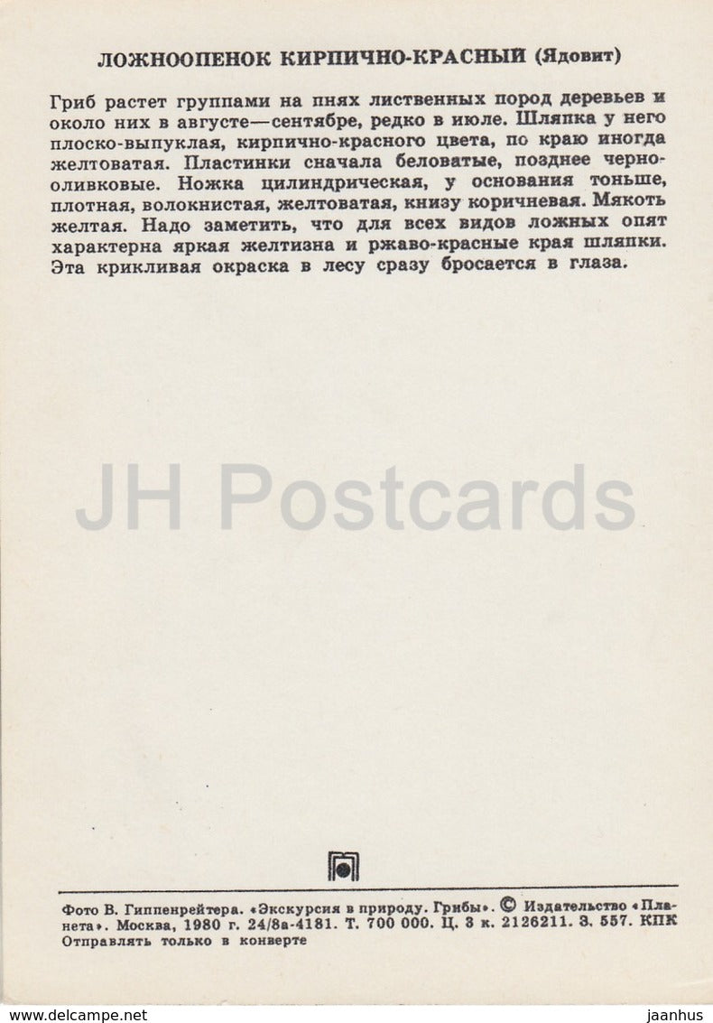 Brick Tuft mushroom - Hypholoma lateritium - Mushrooms - 1980 - Russia USSR - unused - JH Postcards
