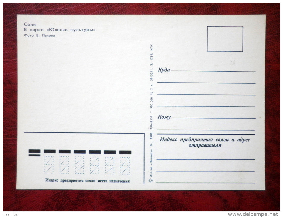 park Southern Cultures - Sochi - palms - trees - 1981 - Russia - USSR - unused - JH Postcards