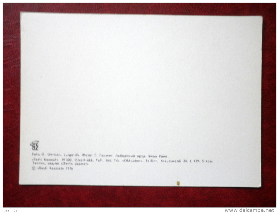 Swan Pond - Kadriorg - Tallinn - 1976 - Estonia USSR - unused - JH Postcards
