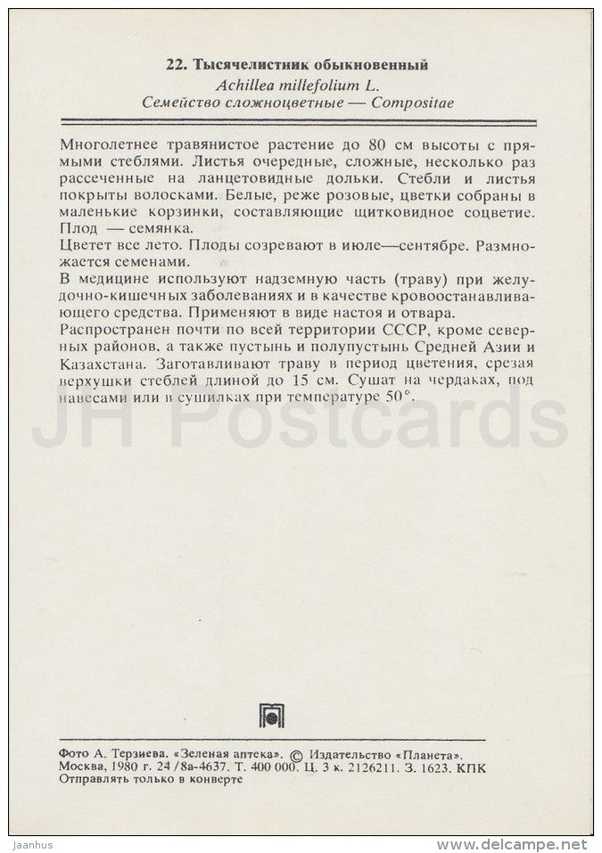 Yarrow - Achillea millefolium - Medicinal Plants - Herbs - 1980 - Russia USSR - unused - JH Postcards