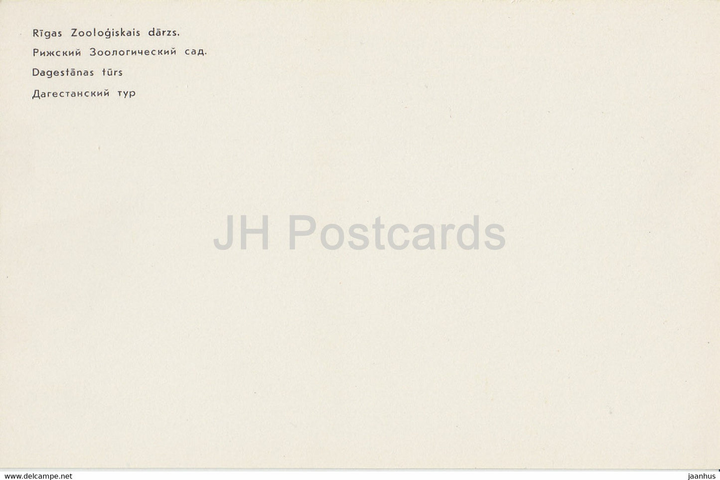 East Caucasian tur - Capra cylindricornis - Riga Zoo - Latvia USSR - unused