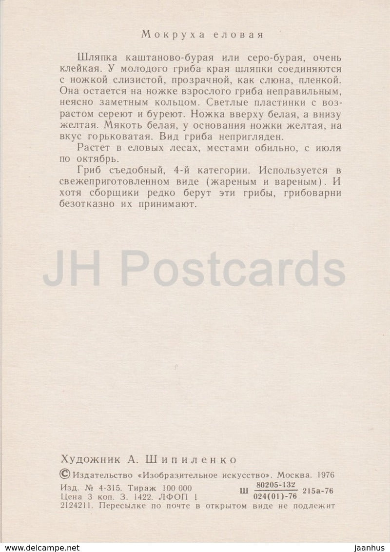 Slimy spike-cap - Gomphidius glutinosus - illustration by A. Shipilenko - Mushrooms - 1976 - Russia USSR - unused - JH Postcards