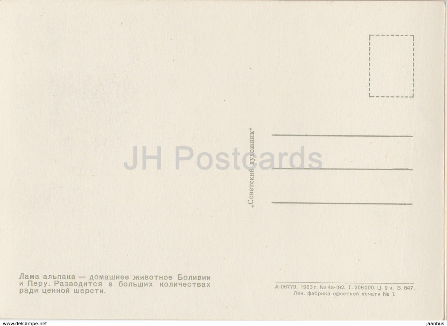 Alpaka - Lama - Vicugna pacos - Moskauer Zoo - 1963 - Russland UdSSR - unbenutzt