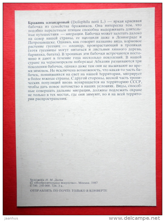 Oleander Hawk-moth , Daphnis nerii , Deilephila nerii - insects - 1987 - Russia USSR - unused - JH Postcards