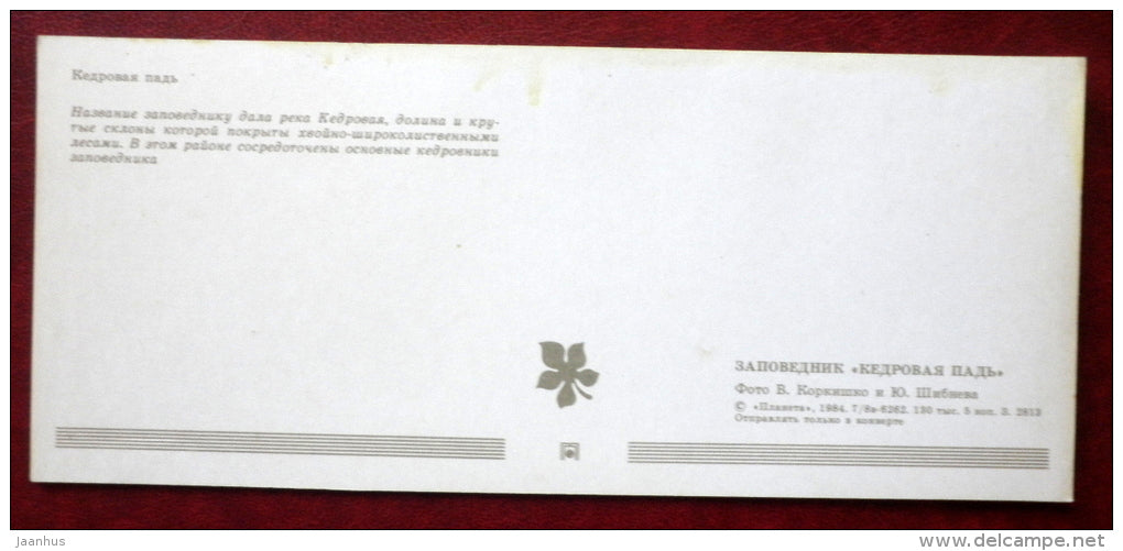 Kedrovaya Pad Nature Reserve - general view - 1984 - Russia USSR - unused - JH Postcards