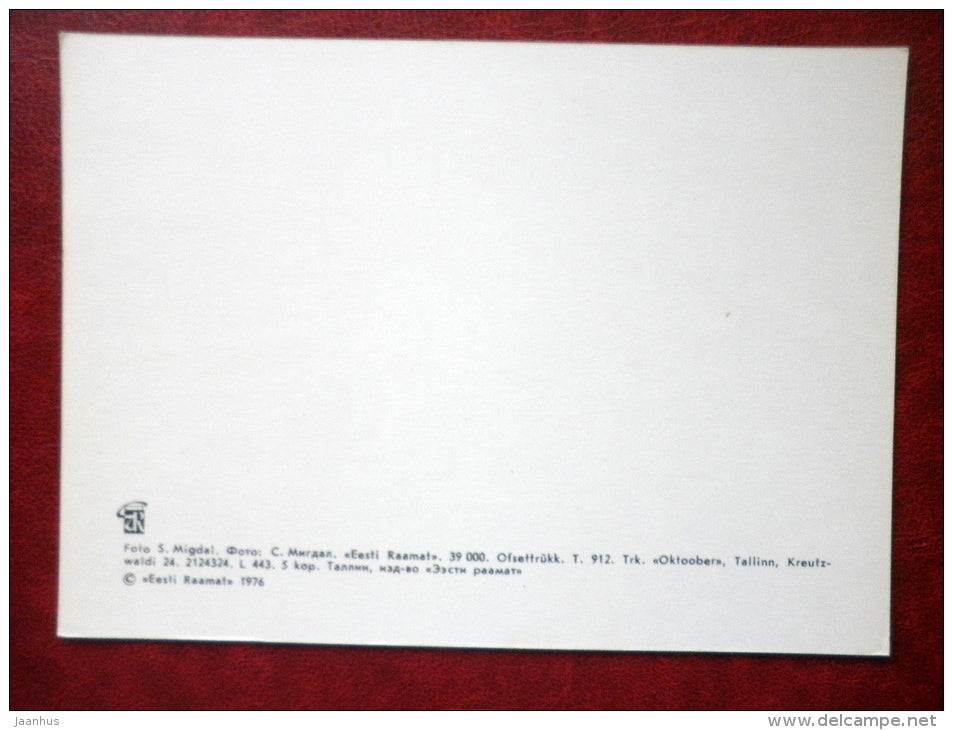 Narva sea - Narva - 1976 - Estonia USSR - unused - JH Postcards