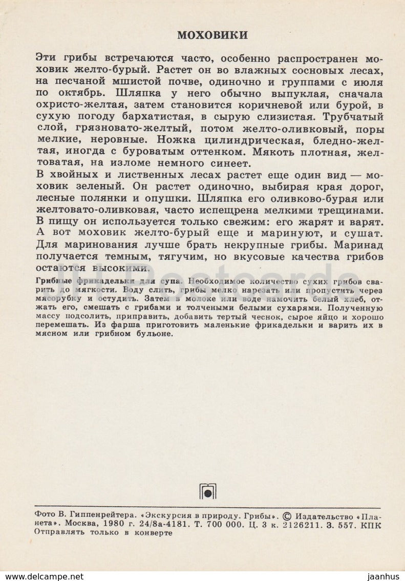 Boletus - Xerocomus - Mushrooms - 1980 - Russia USSR - unused - JH Postcards