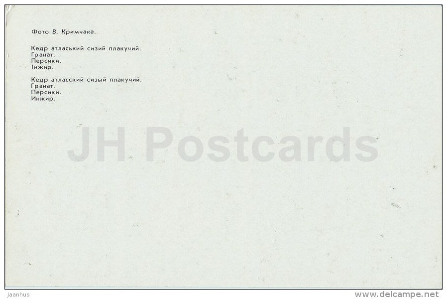 Atlas cedar - pomegranate - peach - fig - Nikitsky Botanical Garden - Crimea - 1989 - Ukraine USSR - unused - JH Postcards