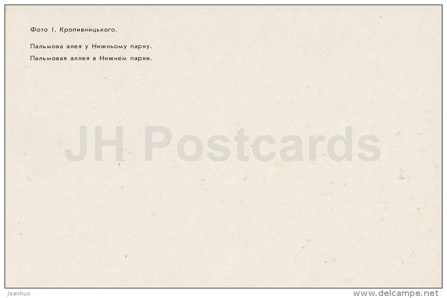 Palm Alley in the Lower Park - Nikitsky Botanical Garden - Crimea - 1989 - Ukraine USSR - unused - JH Postcards