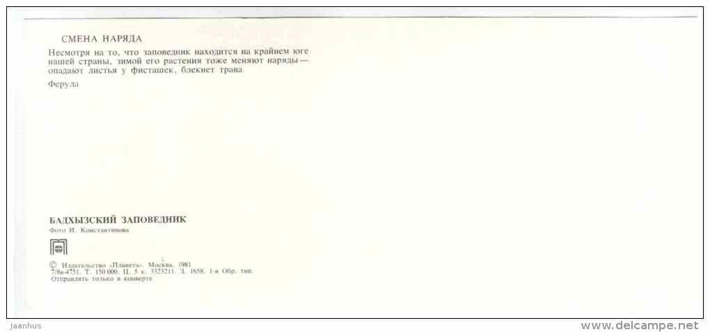 Pistachio - Ferula - Badhyz State Nature Reserve - 1981 - Turkmenistan USSR - unused - JH Postcards