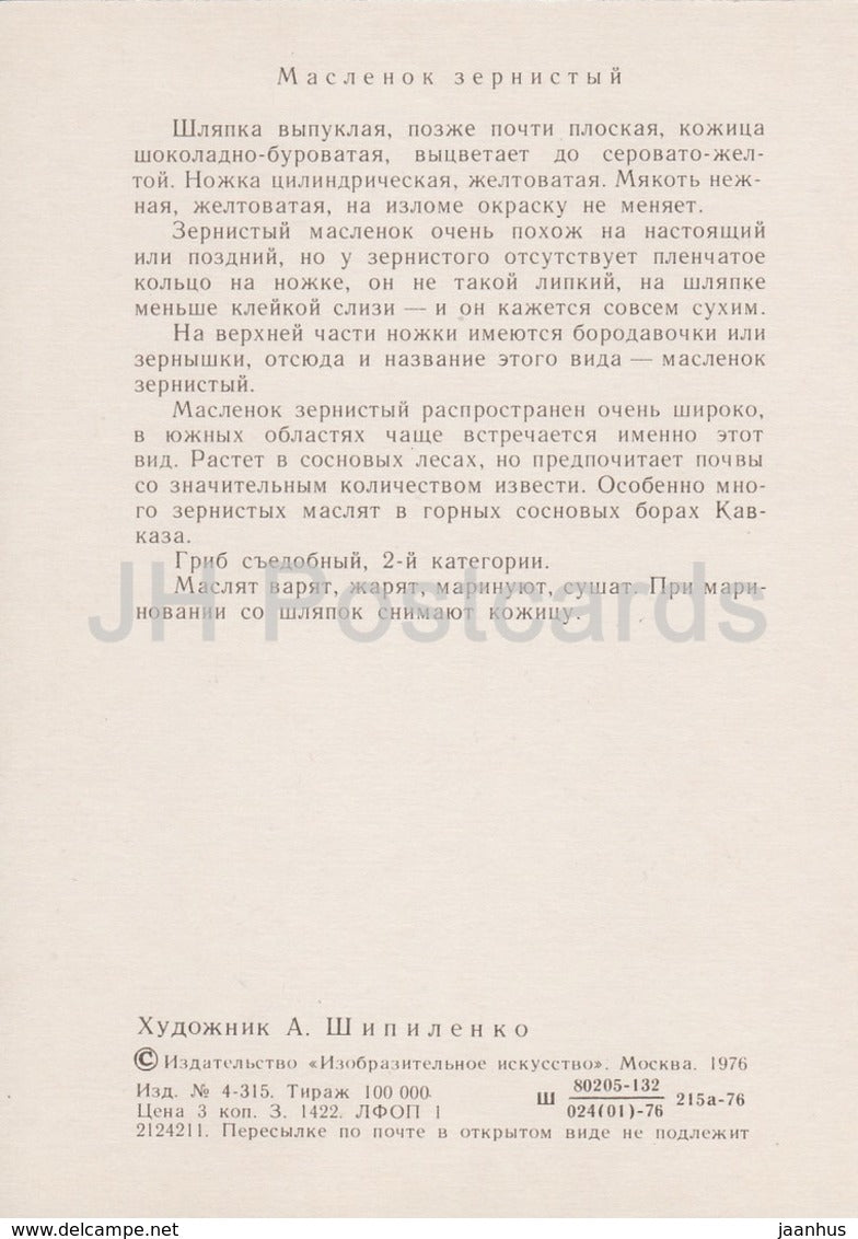 Weeping Bolete Mushroom - Suillus granulatus - illustration by A. Shipilenko - Mushrooms - 1976 - Russia USSR - unused - JH Postcards