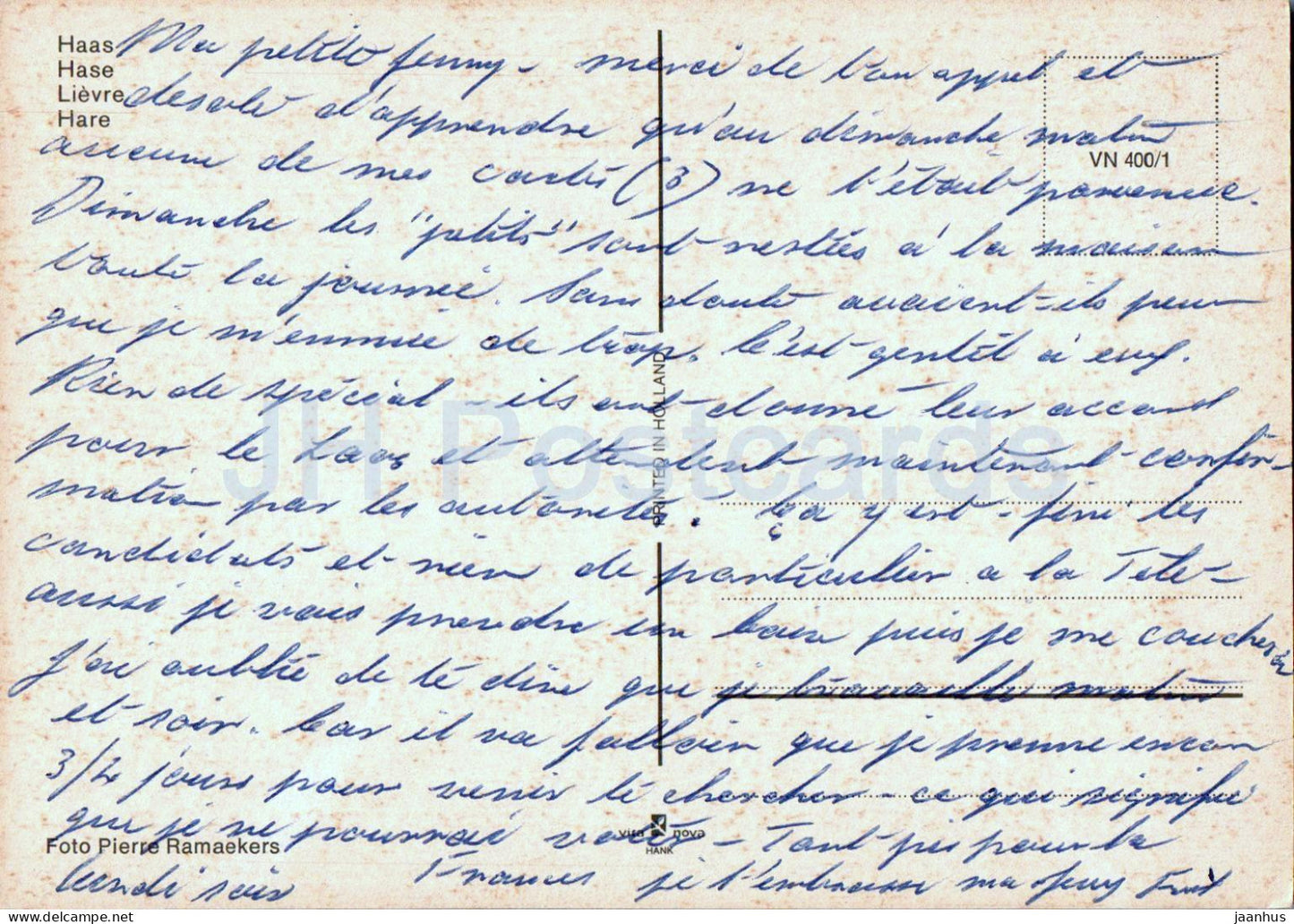 Haas - Hase - Kaninchen - Tiere - 400/1 - Niederlande - gebraucht