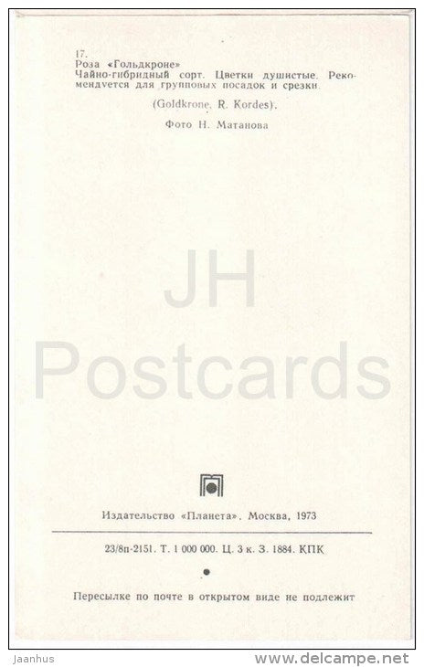 Goldkrone - flowers - Roses - Russia USSR - 1973 - unused - JH Postcards