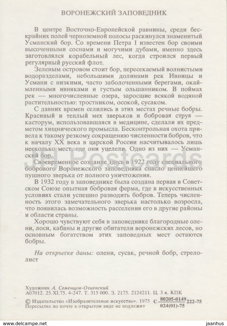 Biber - Hirsch - Butomus - Pfeilspitzen - Naturschutzgebiet Woronesch - 1975 - Russland UdSSR - unbenutzt