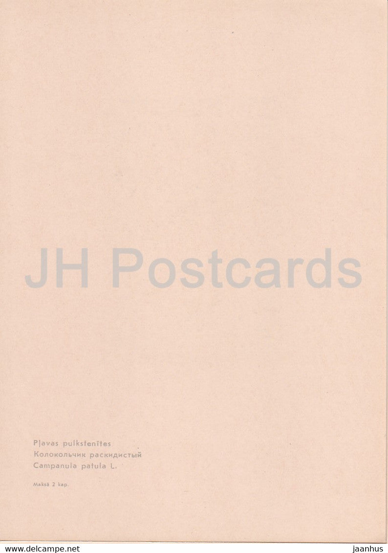 Spreading bellflower - Campanula patula - plants - flowers - Latvia USSR - unused