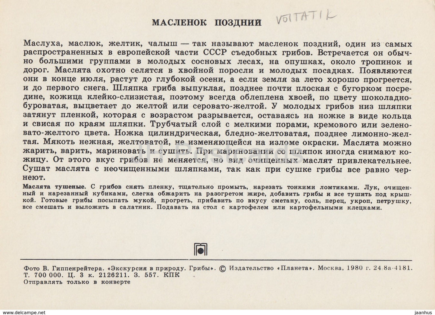 Slippery Jack Mushroom - Suillus luteus - Mushrooms - 1980 - Russia USSR - unused - JH Postcards