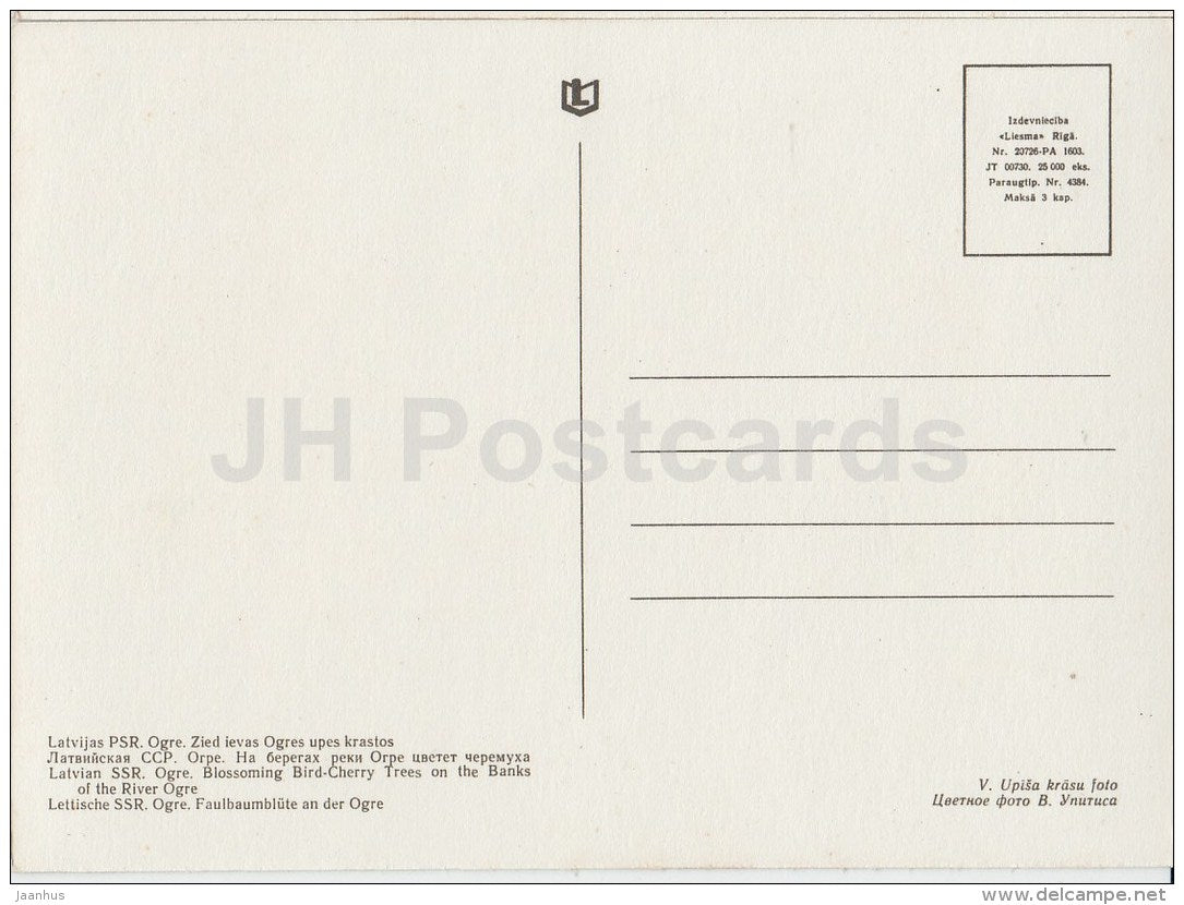 blossoming bird-Cherry Trees on the Banks of the river Ogre - Ogre - old postcard - Latvia USSR - unused - JH Postcards