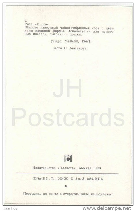 Virgo - flowers - Roses - Russia USSR - 1973 - unused - JH Postcards