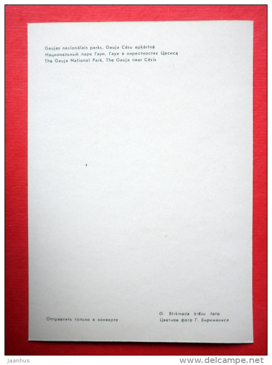 The Gauja river near Cesis - Gauja National Park - 1981 - Latvia USSR - unused - JH Postcards