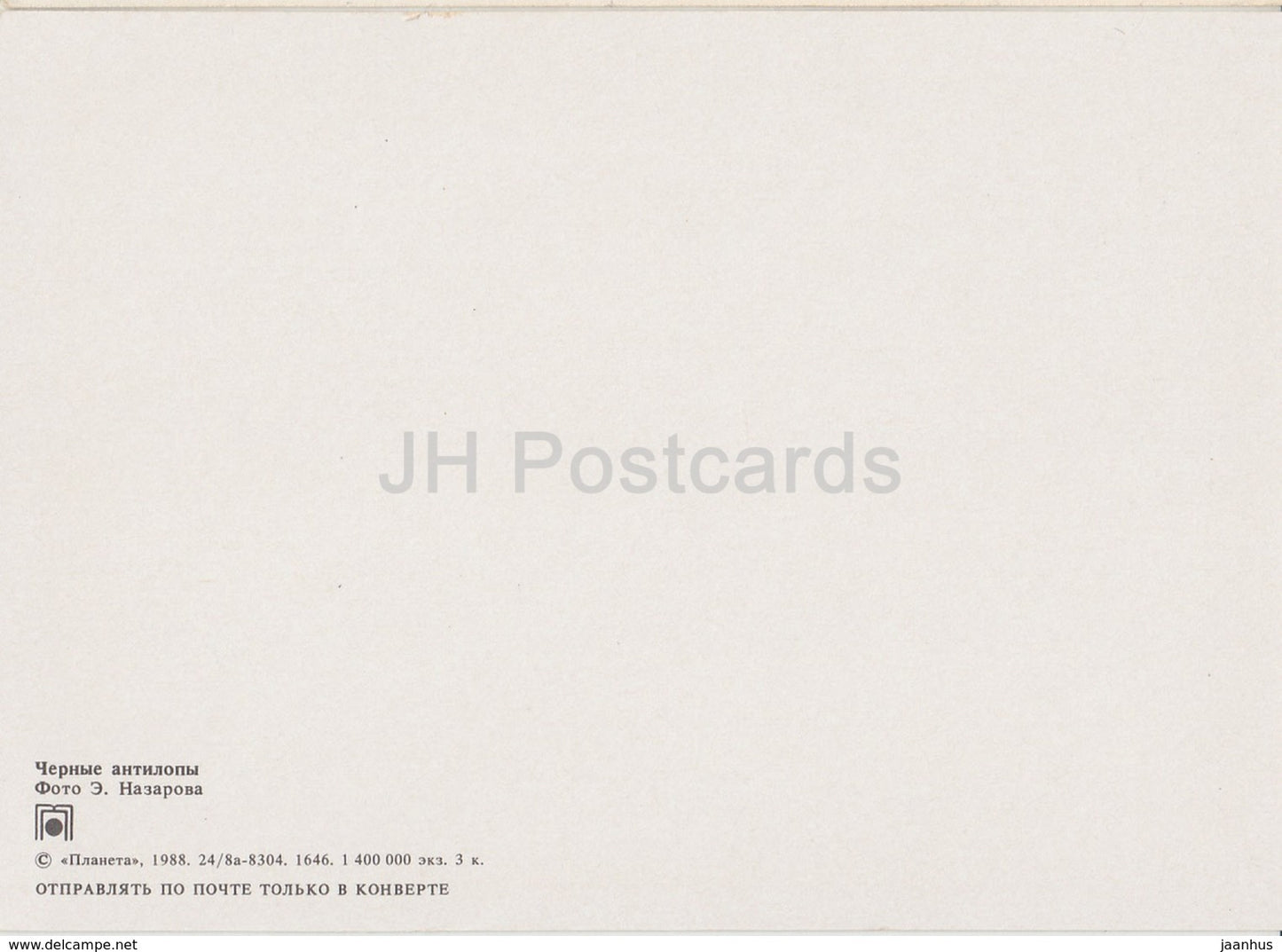 Rappenantilope - Hippotragus niger - Tiere - 1988 - Russland UdSSR - unbenutzt