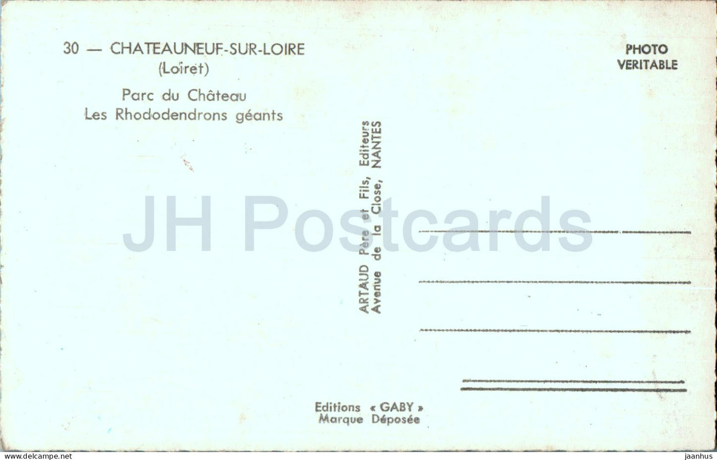 Chateauneuf Sur Loire - Parc du Chateau - Les Rhododendrons geants - flowers - 30 - France - unused