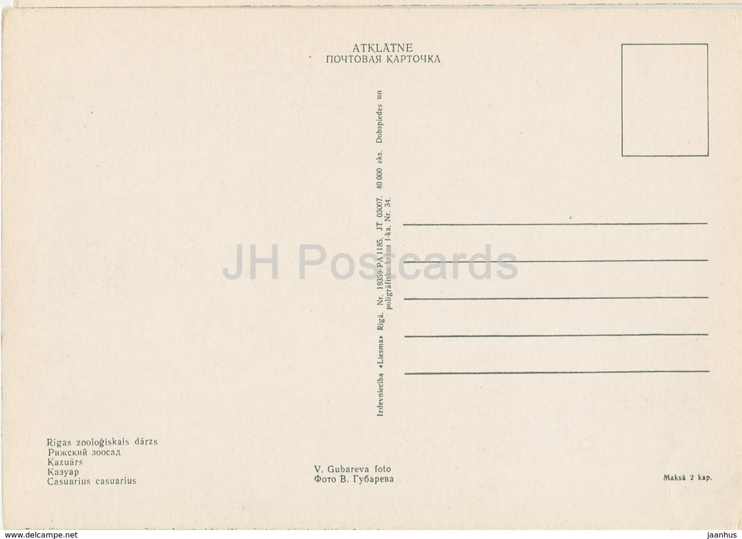 Southern cassowary - Casuarius casuarius - birds - Riga Zoo - old postcard - Latvia USSR - unused