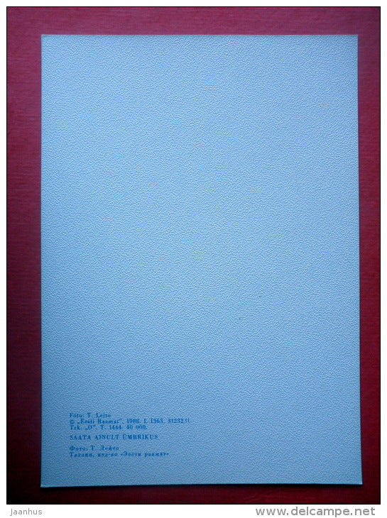 Estonia in Winter - landscape - VIII - house - 1988 - Estonia USSR - unused - JH Postcards