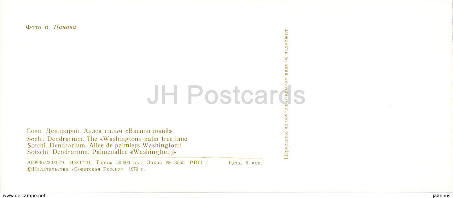 Sotchi - Dendrarium - L'allée des palmiers de Washington - 1979 - Russie URSS - inutilisé