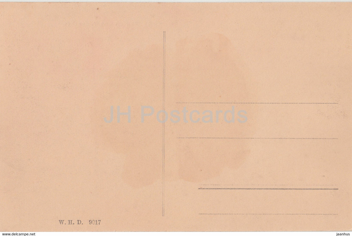 Munchen - Rathaus und Marienplatz - Munich - 9017 - old postcard - Germany - unused