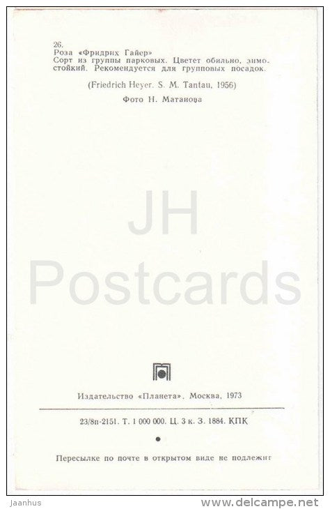Friedrich Heyer - flowers - Roses - Russia USSR - 1973 - unused - JH Postcards