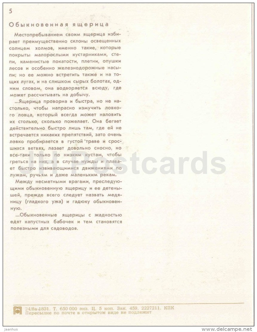 Lizard - boy - Nature Encounter - 1973 - Russia USSR - unused - JH Postcards