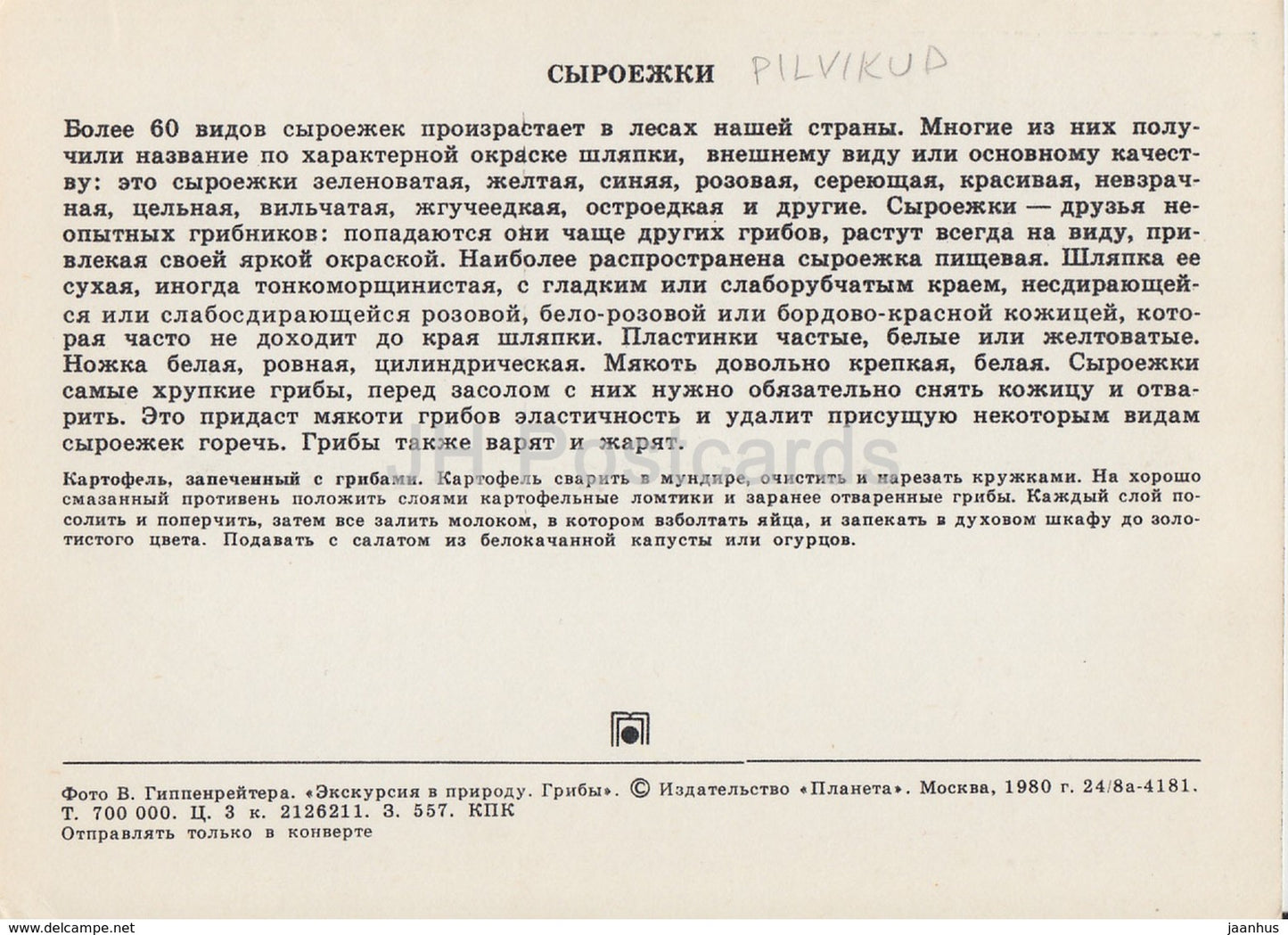 Russula - Mushrooms - 1980 - Russia USSR - unused - JH Postcards