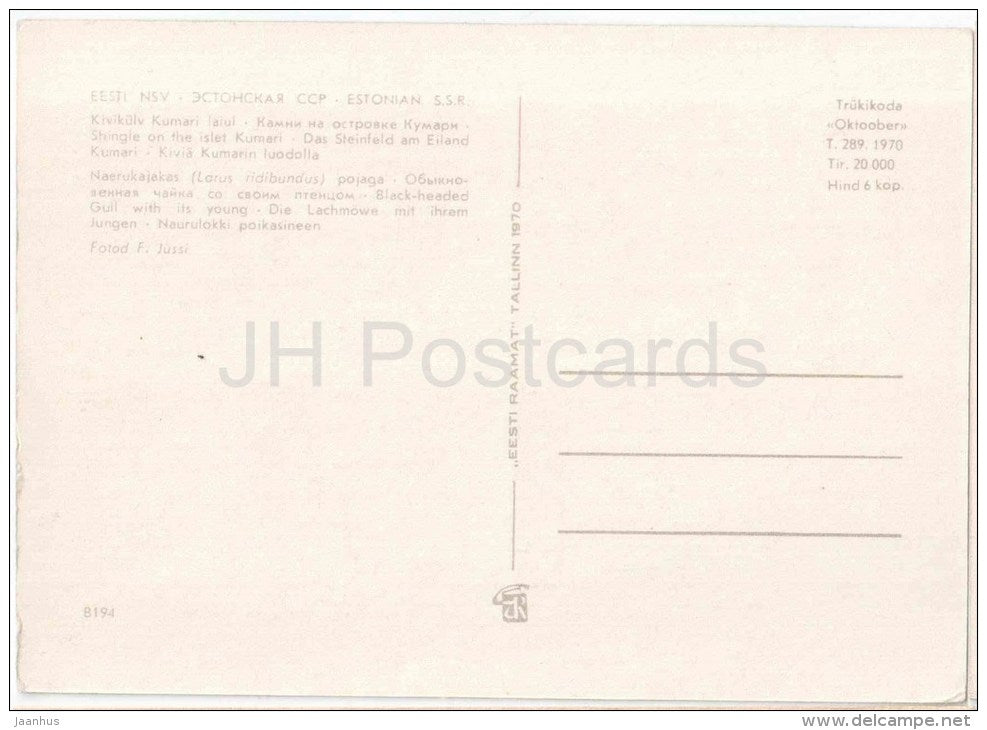 Shingle on the Islet Kumari - Black-Headed Gull , Larus Ridibundus - birds - 1970 - Estonia USSR - unused - JH Postcards