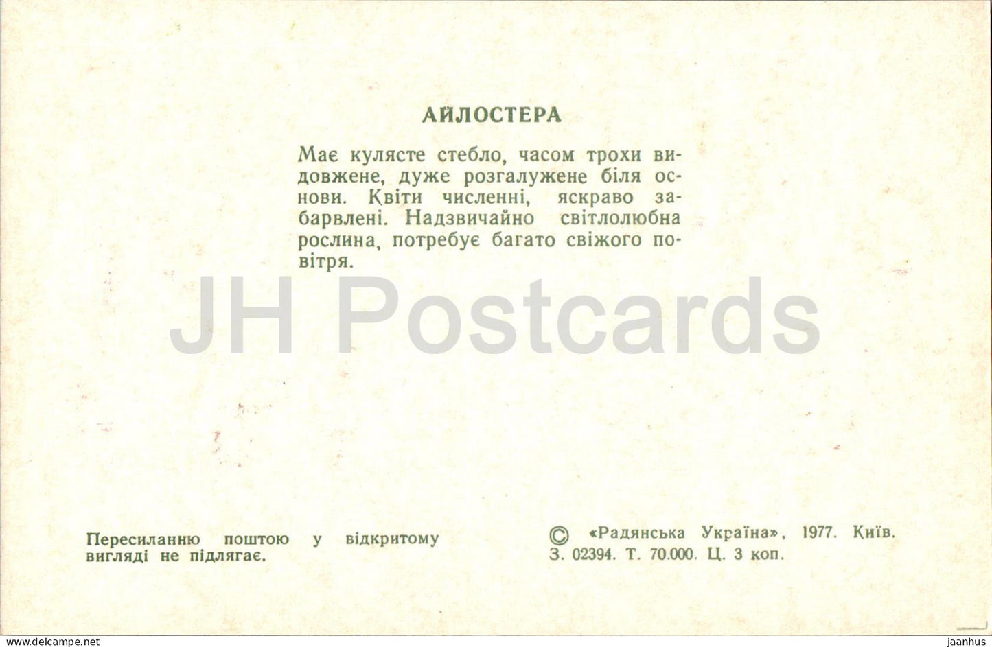 Aylostera - cacti - cactus - flowers - 1977 - Ukraine USSR - unused