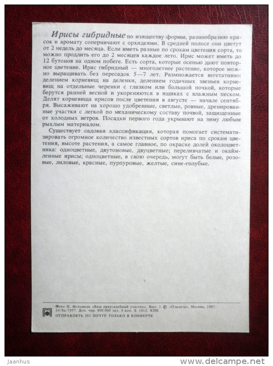 iris - Decorative flowers - 1987 - Russia USSR - unused - JH Postcards