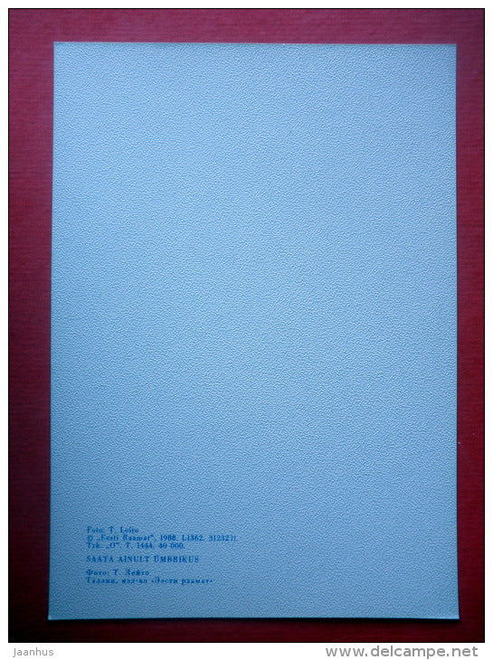 Estonia in Winter - landscape - IX - 1988 - Estonia USSR - unused - JH Postcards