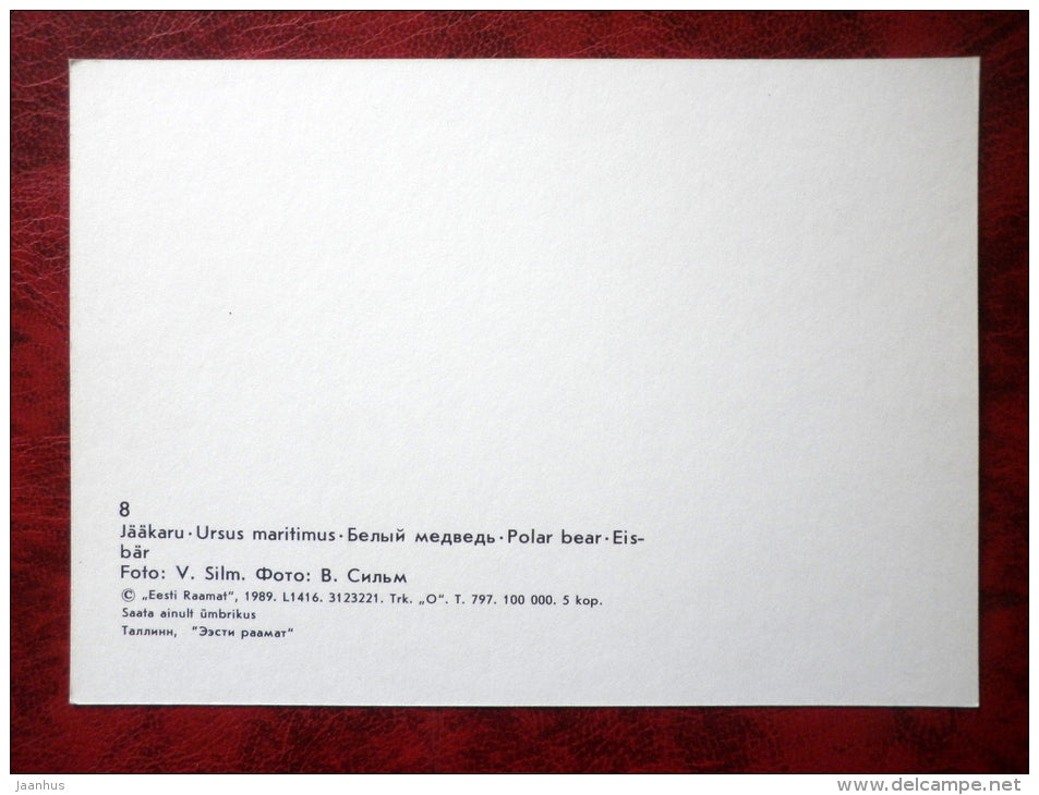 Polar bear - ursus maritimus - animals - Tallinn Zoo - 1989 - Estonia - USSR - unused - JH Postcards