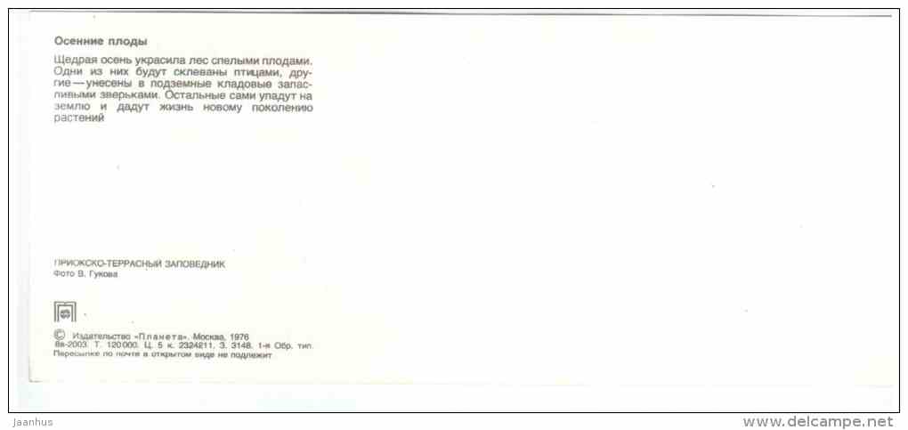 Mushroom - autumn fruits - Prioksko-Terrasny Nature Reserve - 1976 - Russia USSR - unused - JH Postcards
