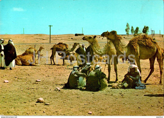 Beer Sheba - At the Market Day - camel - animals - 5701 - Israel - unused - JH Postcards