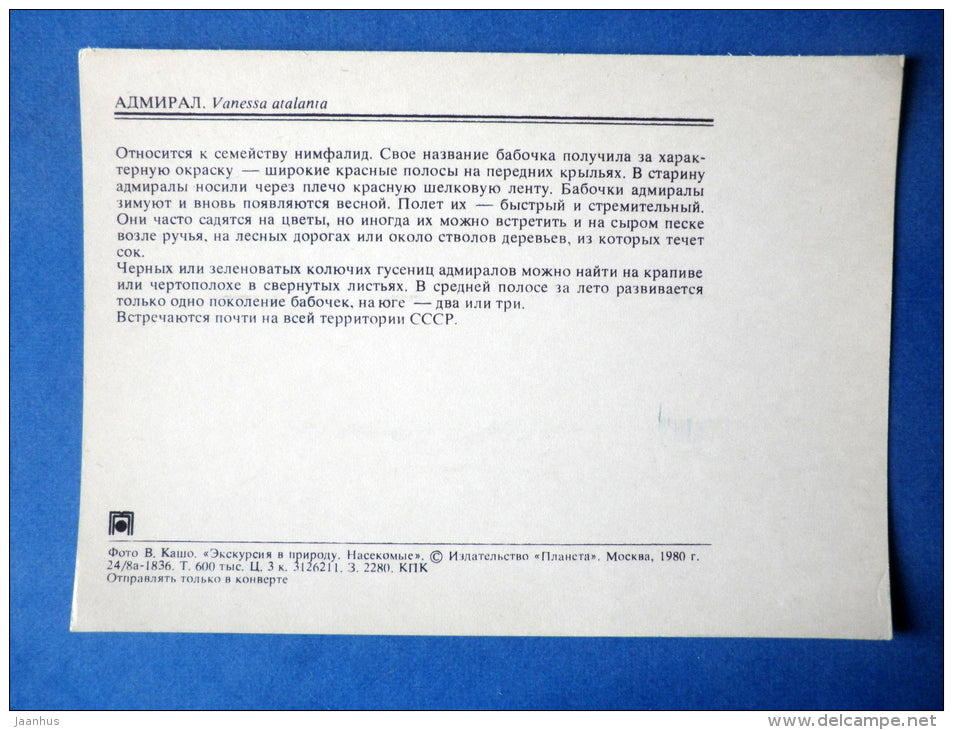 The Red Admiral - Vanessa atalanta - butterfly - insects - 1980 - Russia USSR - unused - JH Postcards
